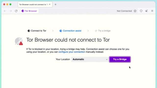 Tor Browser Bridge