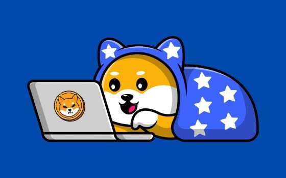 Shiba Inu non vuole finire come Terra LUNA: approfitta del momento d'oro