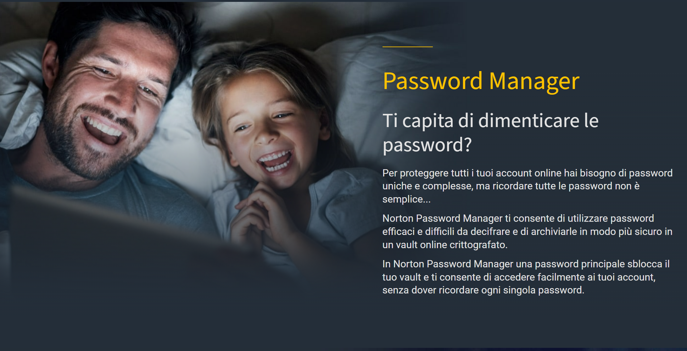 norton password manager