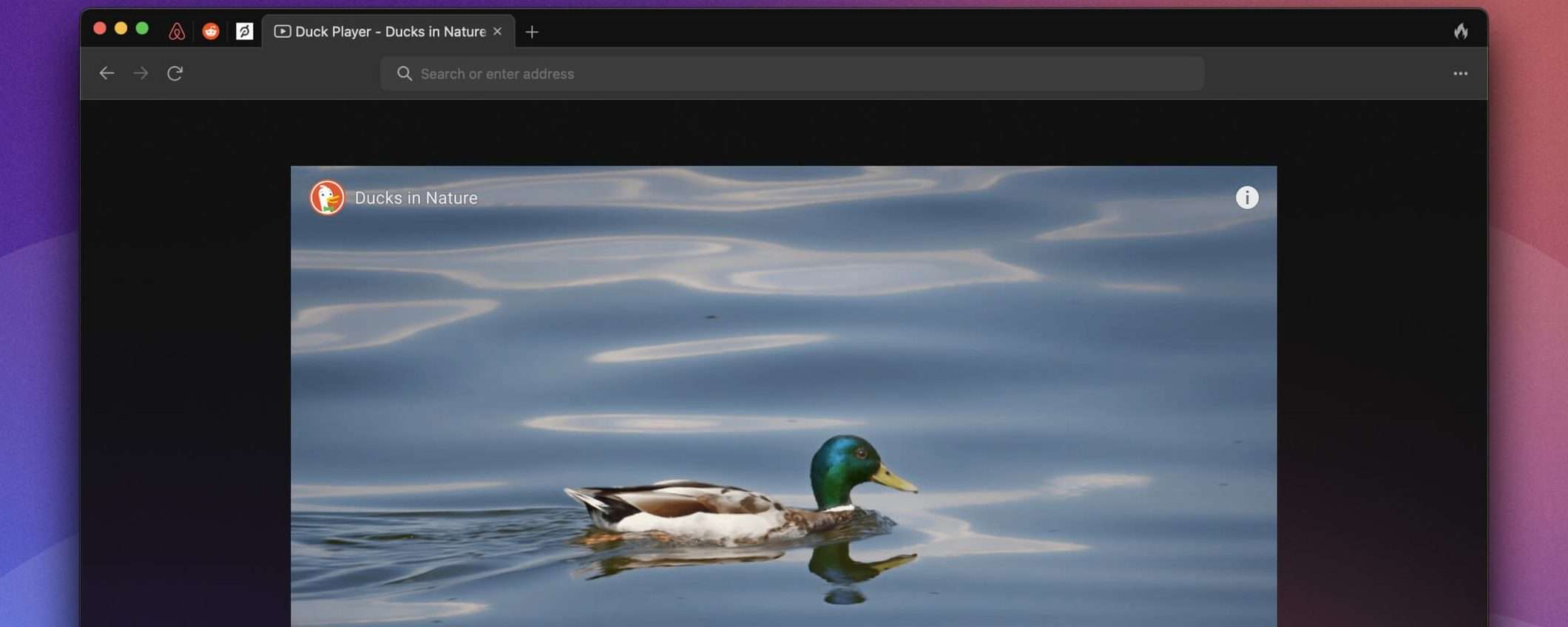 DucDuckGo per macOS: versione beta per tutti