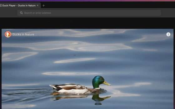 DucDuckGo per macOS: versione beta per tutti