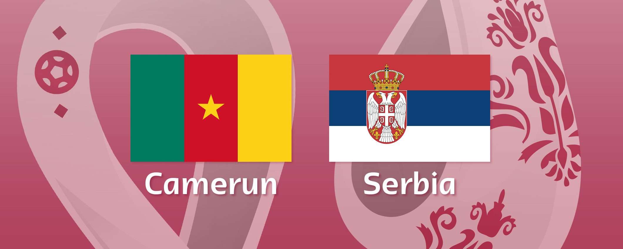 Come vedere Camerun-Serbia in streaming