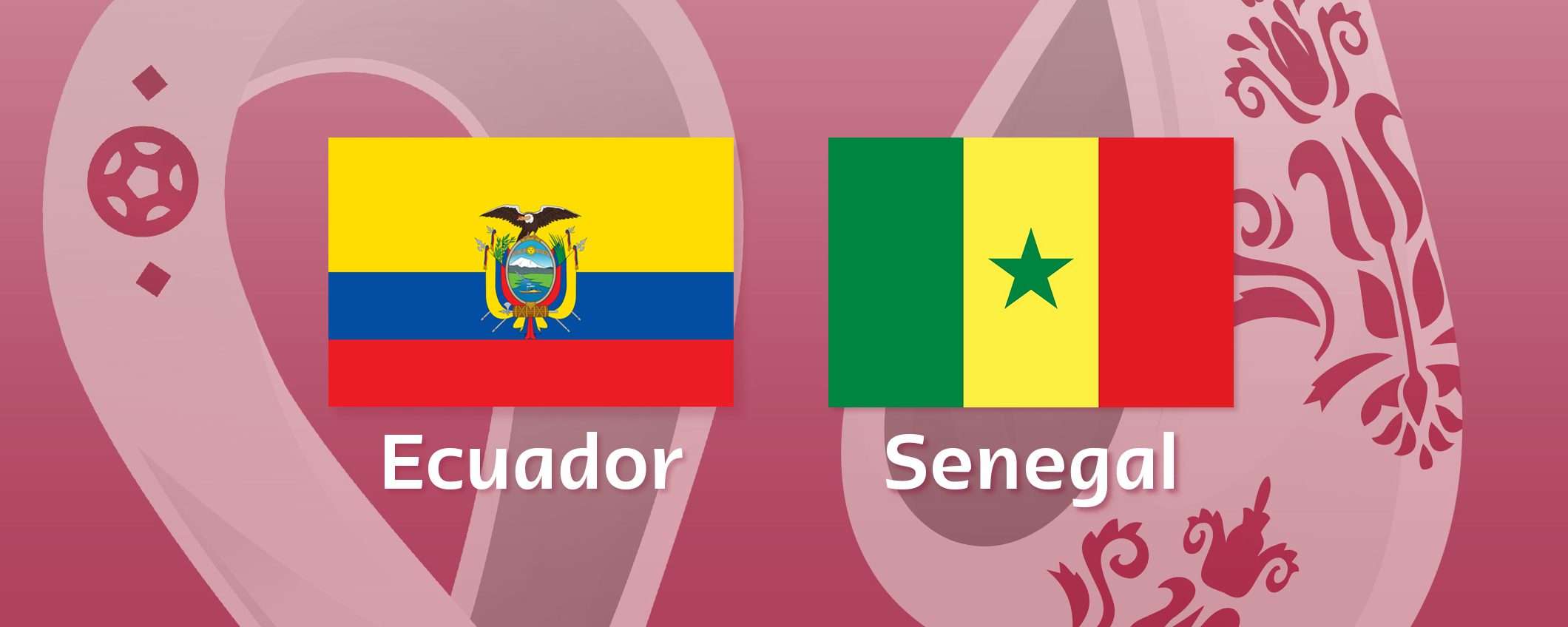 Come vedere Ecuador-Senegal in streaming