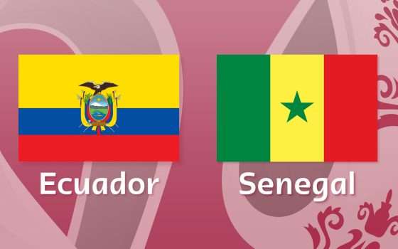 Come vedere Ecuador-Senegal in streaming