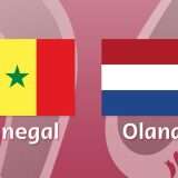 Come vedere Senegal-Olanda in streaming (Mondiali)