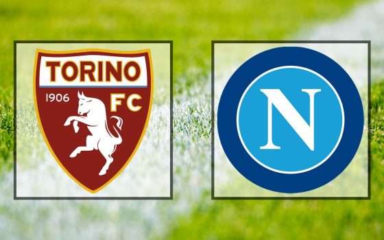 Come vedere Torino-Napoli in streaming