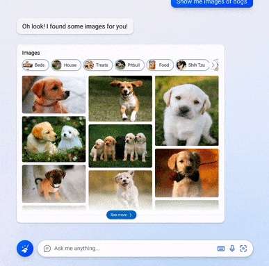 Bing Chat ricerca immagini