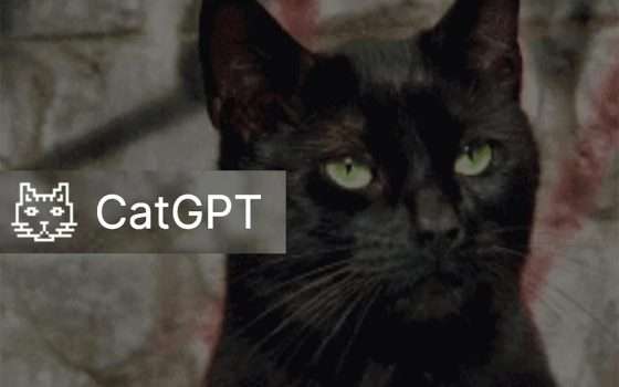 CatGPT, il chatbot IA che ti permette di parlare con i gatti