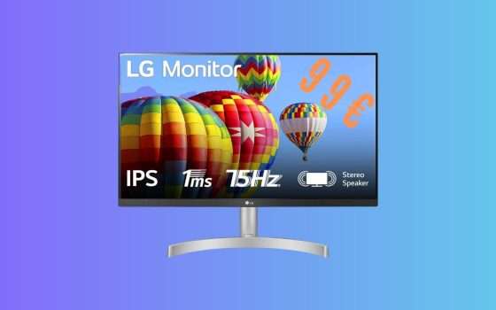 LG Monitor 24