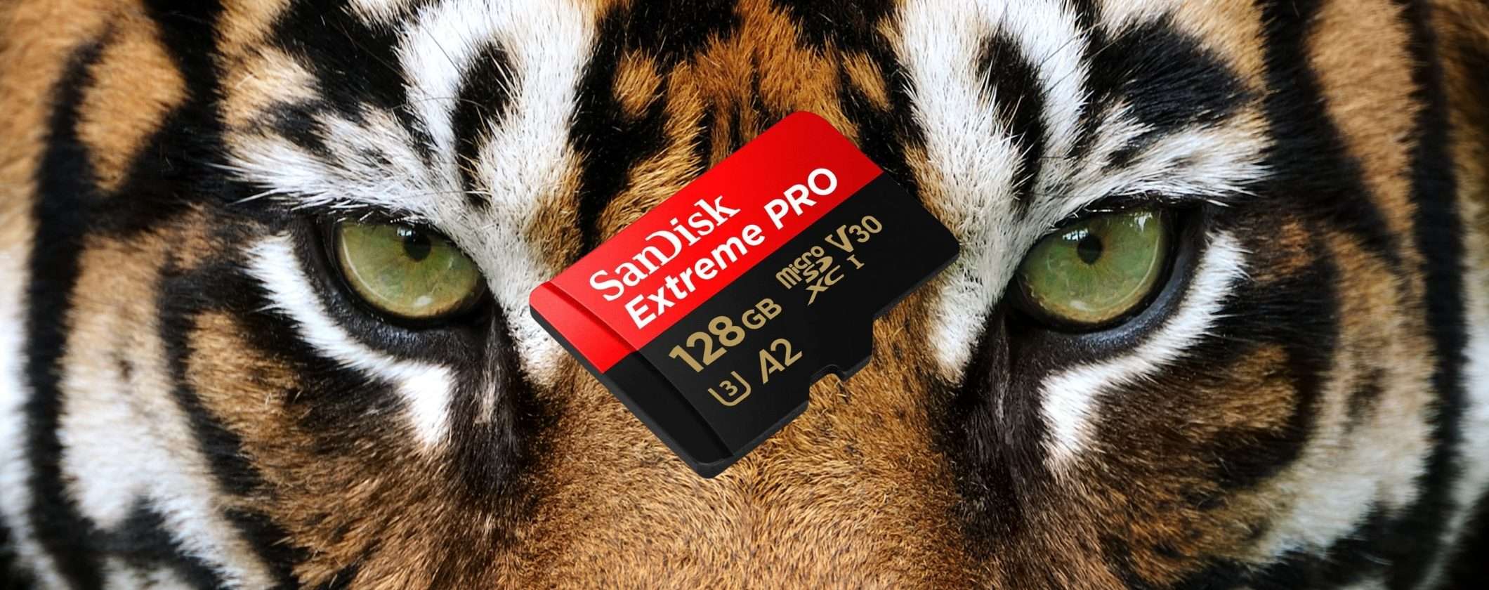 MicroSD SanDisk 128GB: velocità e sicurezza un prezzo REGALO