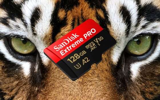 MicroSD SanDisk 128GB: velocità e sicurezza un prezzo REGALO