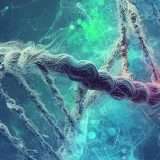23andMe: online 4 milioni di profili genetici