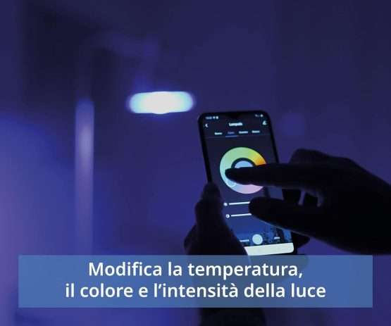 PREZZO FOLLE per due  Alexa + Lampadina smart Philips Hue su