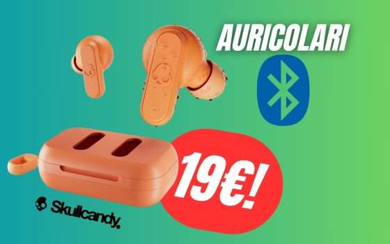 PREZZO FOLLE per questi Auricolari Bluetooth di alta qualità! (-50%)