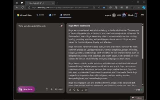 Bing Chat: 16.000 caratteri con Notebook