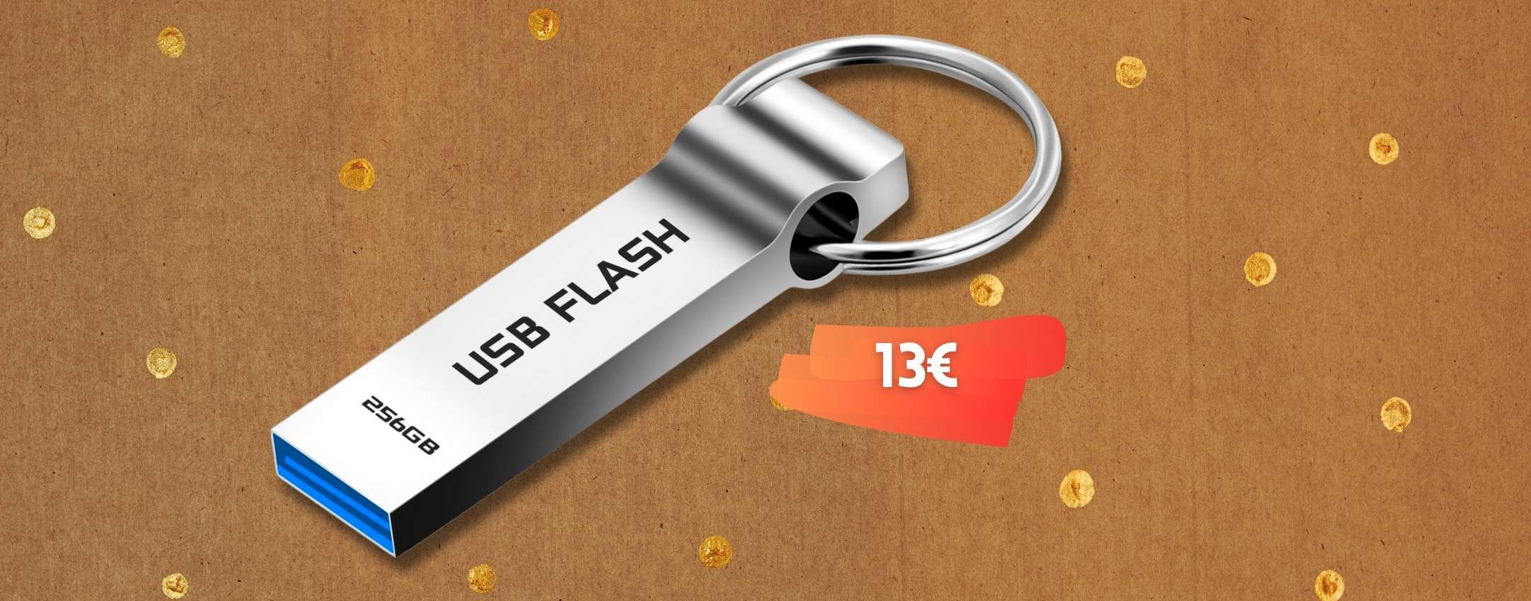 Chiavetta USB 256GB 3.0 in metallo per file al sicuro e A SPASSO (13€)