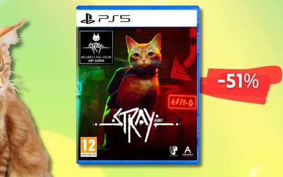 STRAY colpisce dritto nel cuore, vivi l'esperienza PS5 con sconto 51%