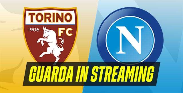 Torino-Napoli (Serie A, giornata 19)