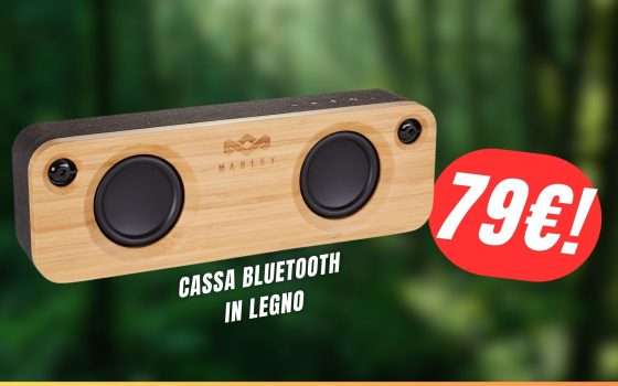 FOLLE SCONTO di 120€ per questa Cassa Bluetooth in Legno!