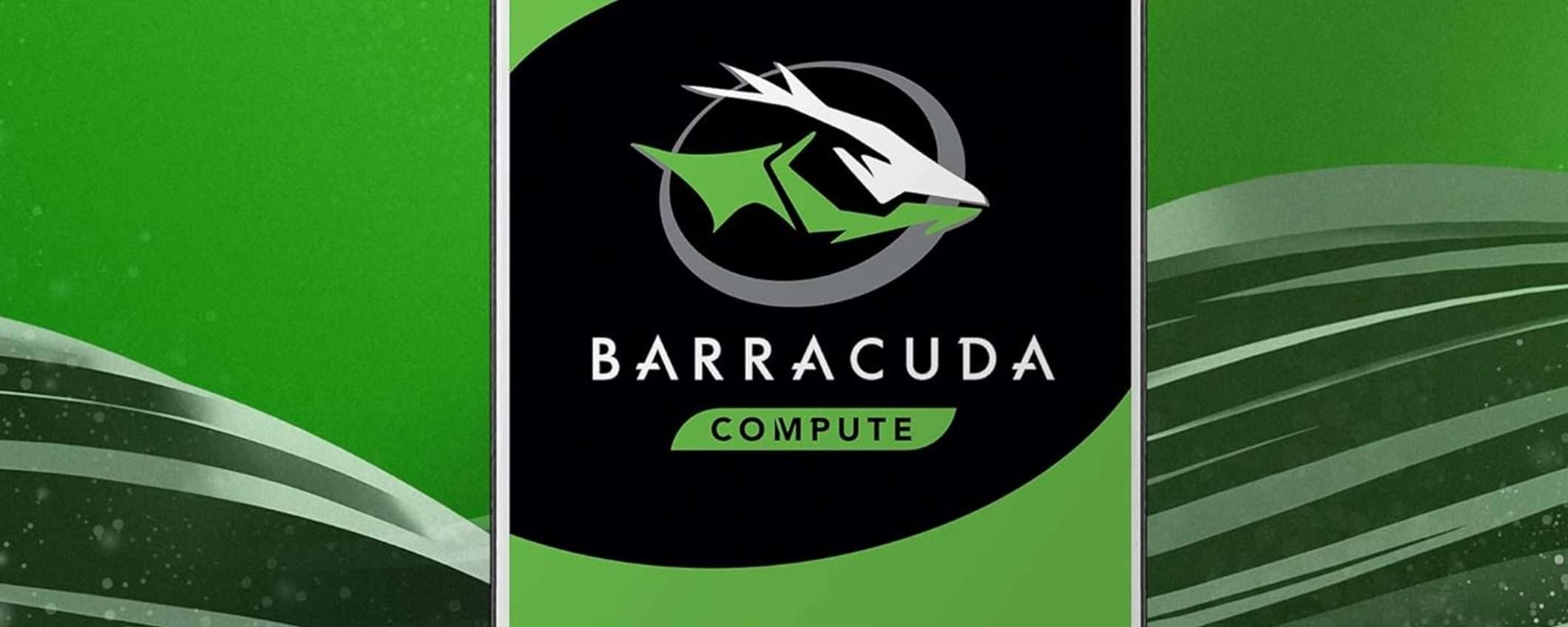 HDD interno Seagate Barracuda da 2TB a soli 60€ su eBay: OFFERTA INCREDIBILE!