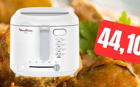 Friggitrice Uno Deep Fryer: friggitrice classica