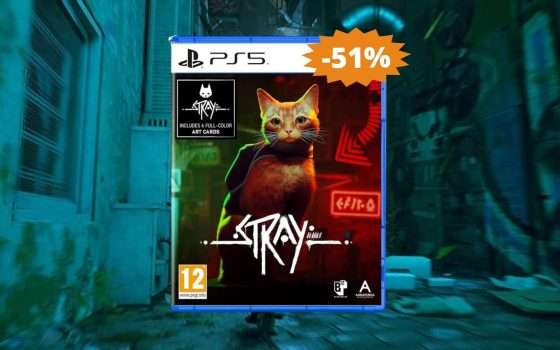 Stray per PS5: CROLLO del prezzo su Amazon (-51%)