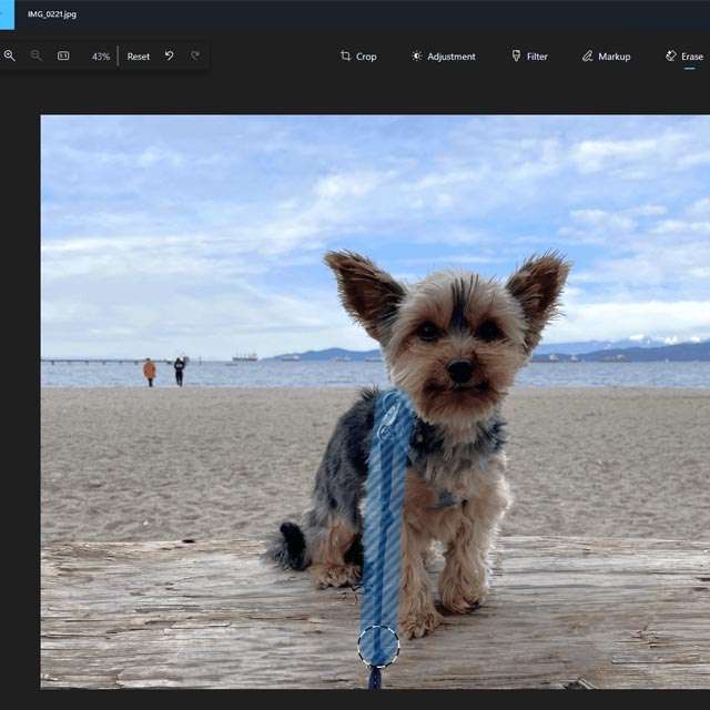 La nuova funzionalità Generative Erase per l'applicazione Foto su Windows 11 e Windows 10
