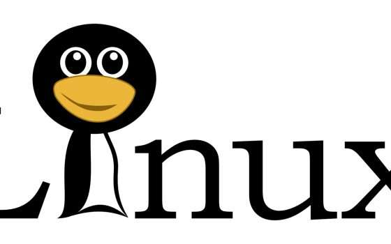 Linux a rischio, scoperta grave falla di sicurezza