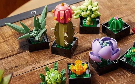 Offerte di Primavera: giù il prezzo delle piante grasse LEGO