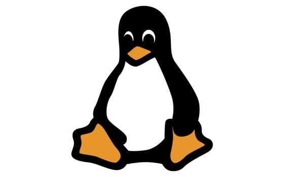 Il kernel Linux 6.8 giunge alla fine del supporto