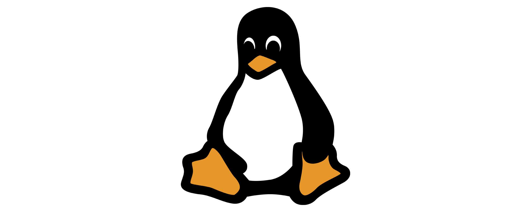 Il kernel Linux 6.8 giunge alla fine del supporto