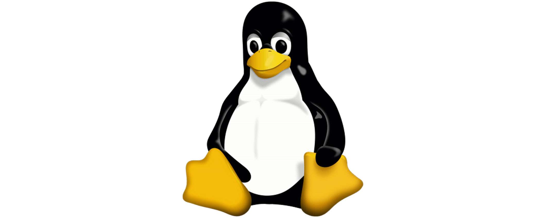 Che kernel Linux usa Linus Torvalds? Ecco la risposta