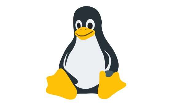 Linux Kernel 6.9: tutte le novità del nuovo aggiornamento