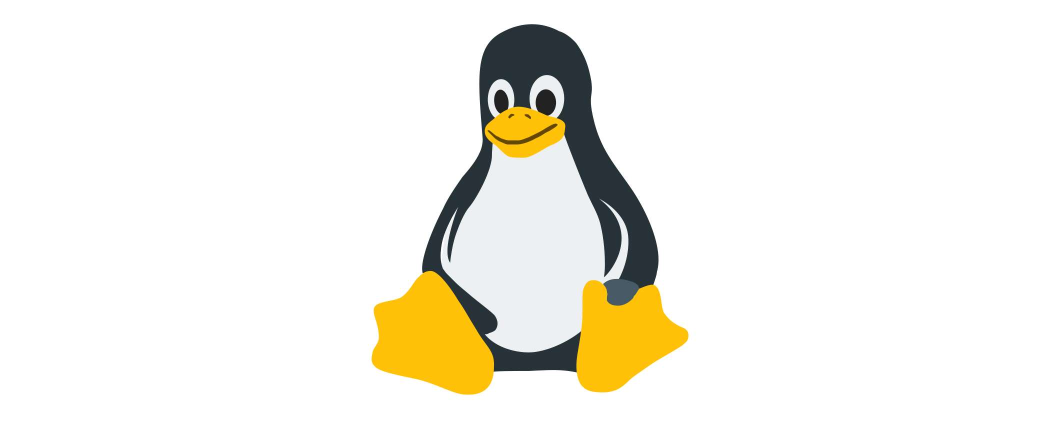 Linux Kernel 6.9: tutte le novità del nuovo aggiornamento