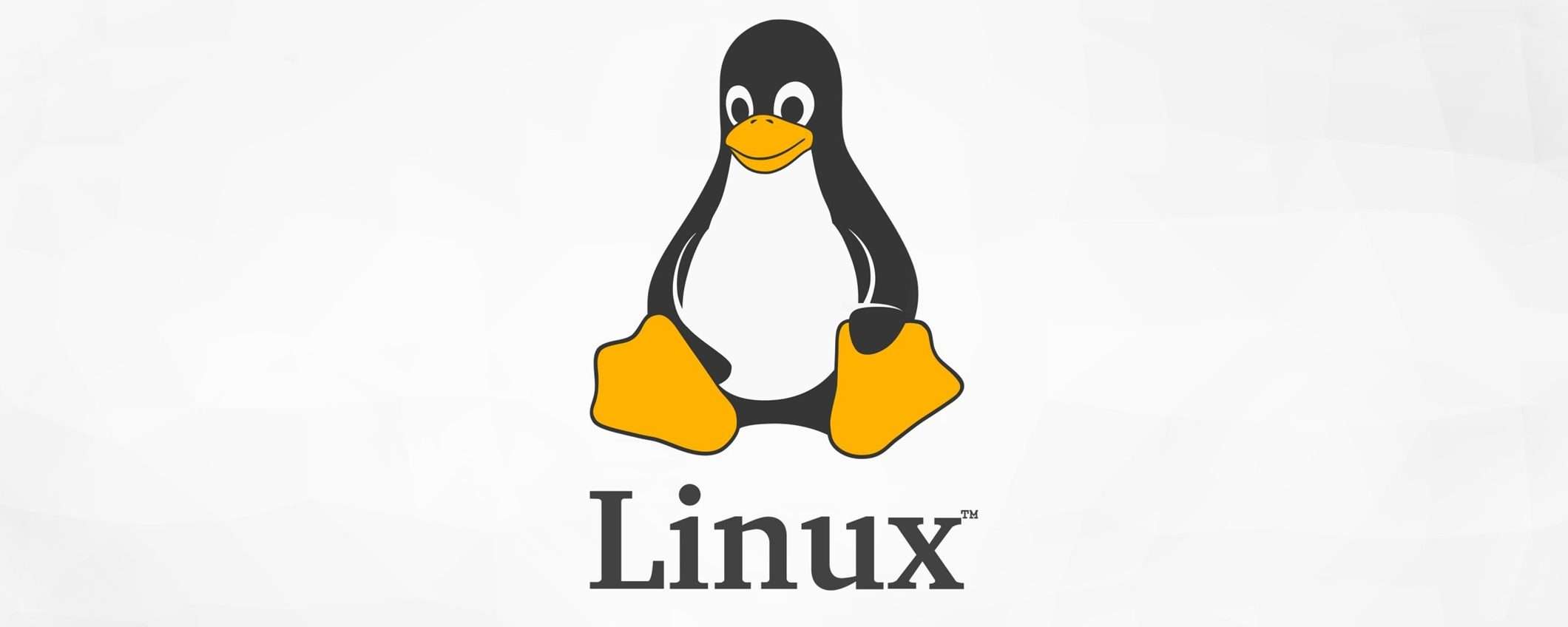 Arriva Kernel Linux 6.9: le nuove funzionalità
