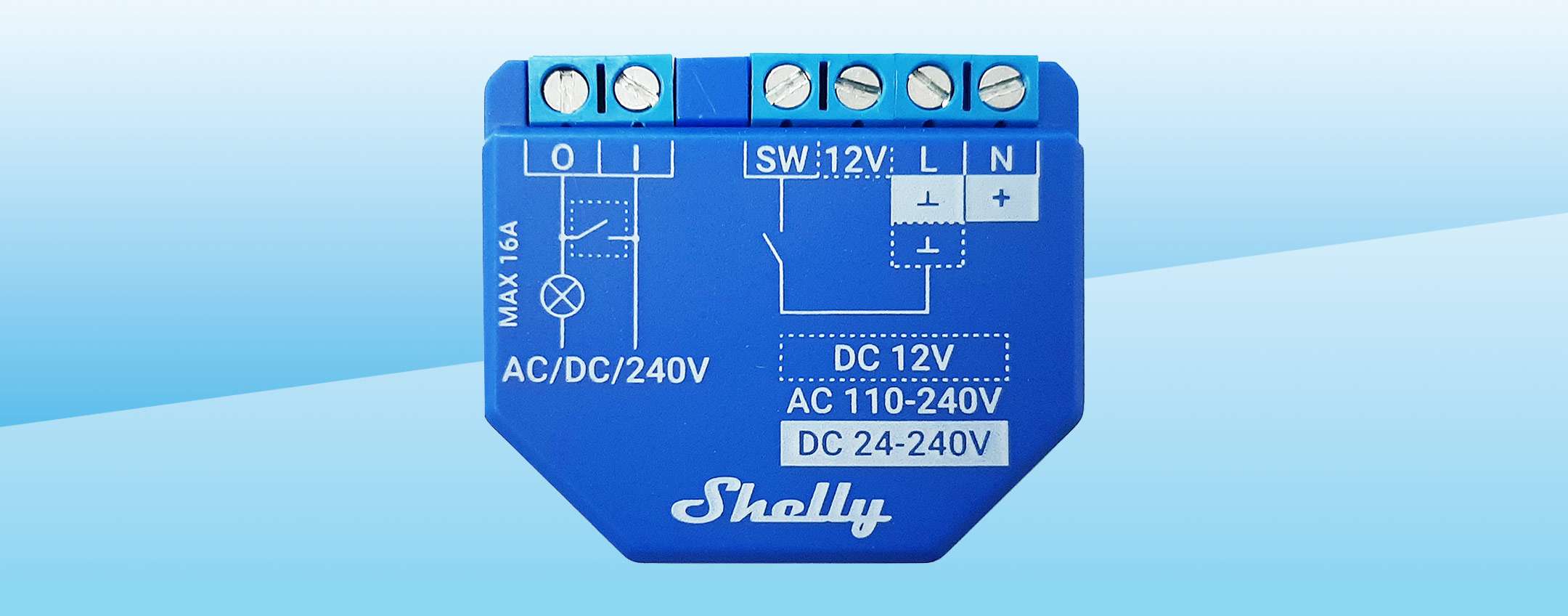 Shelly Plus 1 al MINIMO STORICO: il relè mai così conveniente