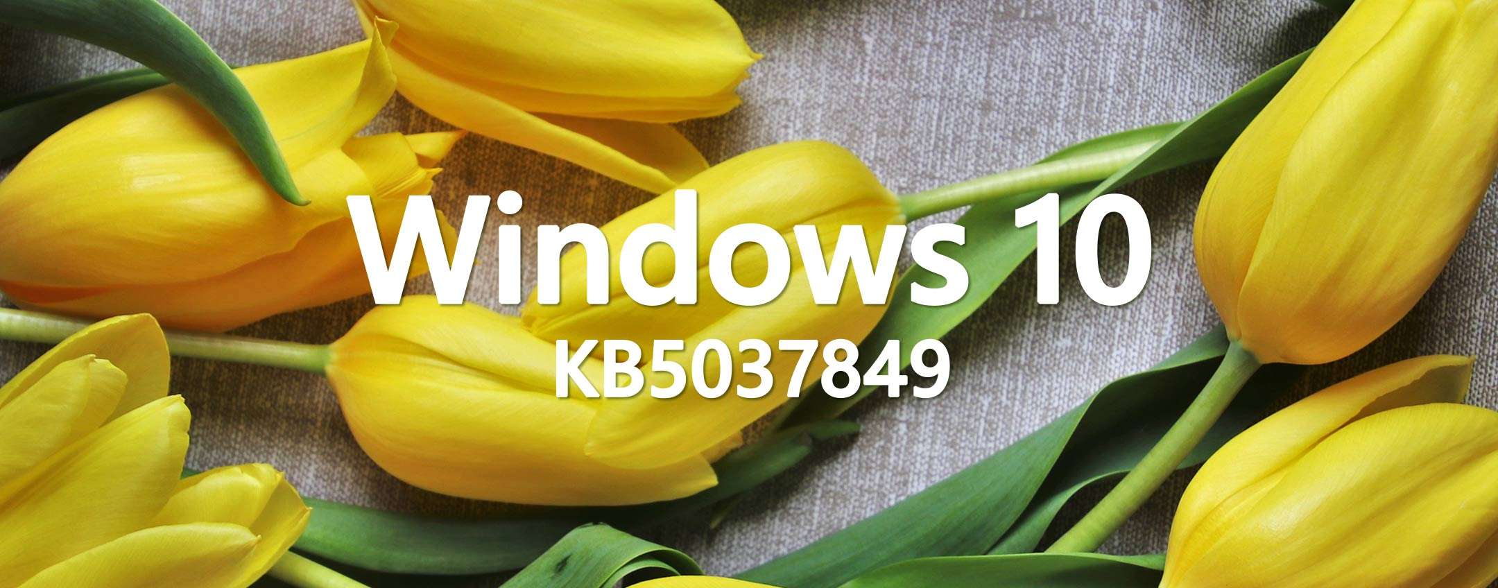 Windows 10 KB5037849 è in download con nove novità