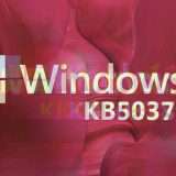 Windows 11 KB5037853: almeno due gravi problemi