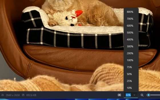 Windows 11: novità per visualizzazione e importazione in Foto
