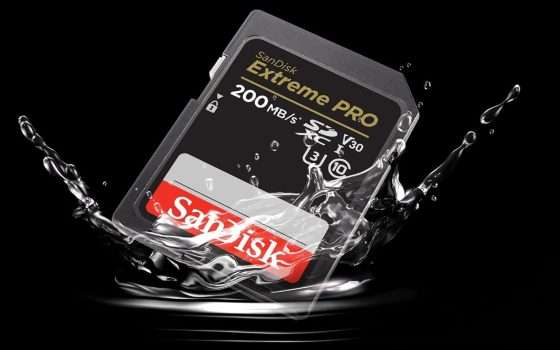 SD SanDisk Extreme Pro da 256GB a un prezzo ASSURDO con lo sconto del 49% di Amazon