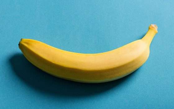 Perché tutti stanno giocando con una Banana su Steam?