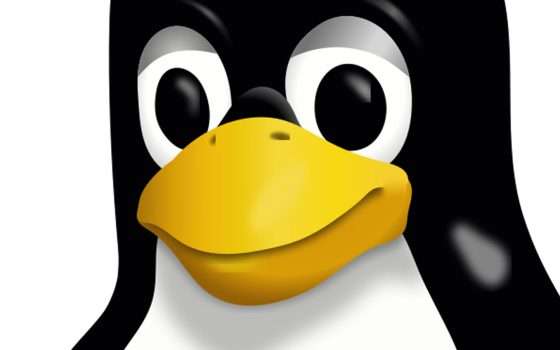 Il kernel Linux 6.10 sarà rilasciato ufficialmente entro metà luglio