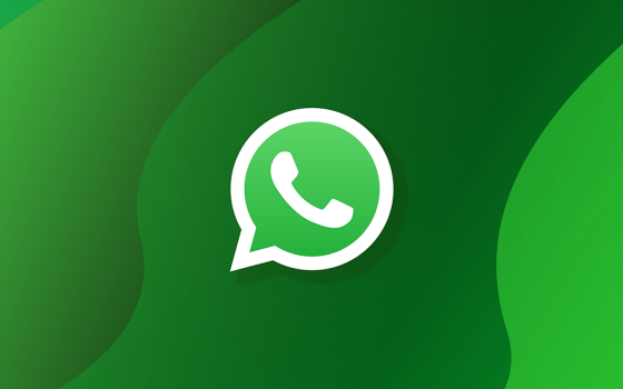 Su WhatsApp in arrivo effetti e filtri AR per le videochiamate