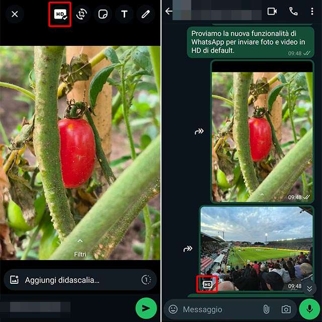 La nuova opzione di WhatsApp per inviare foto e video in qualità HD di default