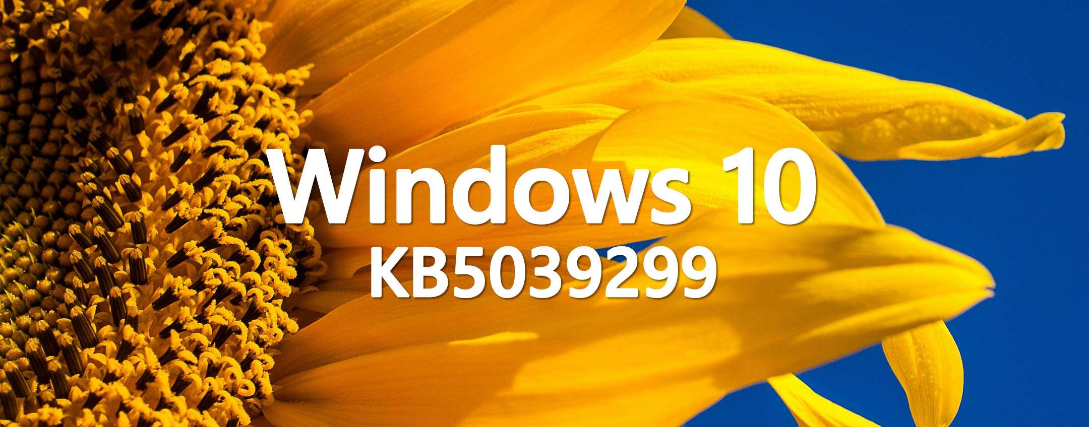 Windows 10 KB5039299 in download: le novità