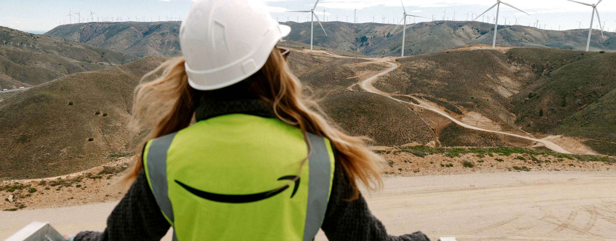 Energia pulita: esperti criticano i dati di Amazon