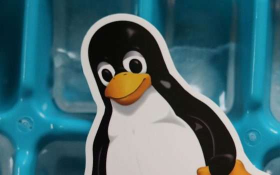GNU Linux-libre 6.10: ufficiale la nuova versione del kernel