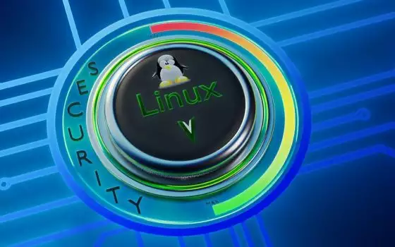 Ransomware Play: variante Linux colpisce sistemi VMware ESXi