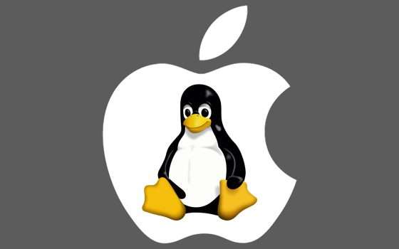 Linux 6.11 estende il supporto alla Magic Keyboard su più Mac