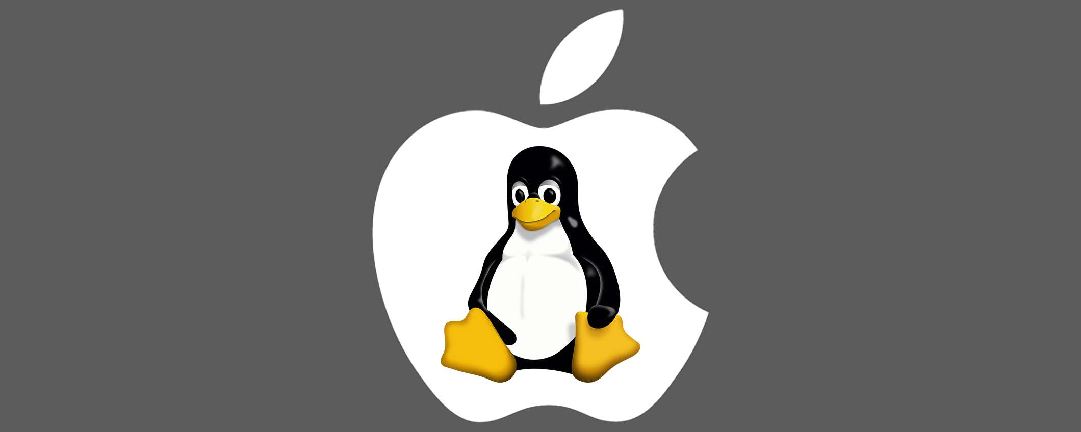 Linux 6.11 estende il supporto alla Magic Keyboard su più Mac